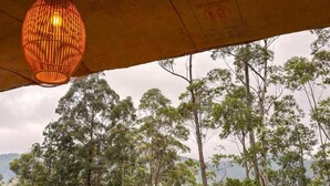 Una estructura cubierta con una lámpara colgante y vistas a un área boscosa.