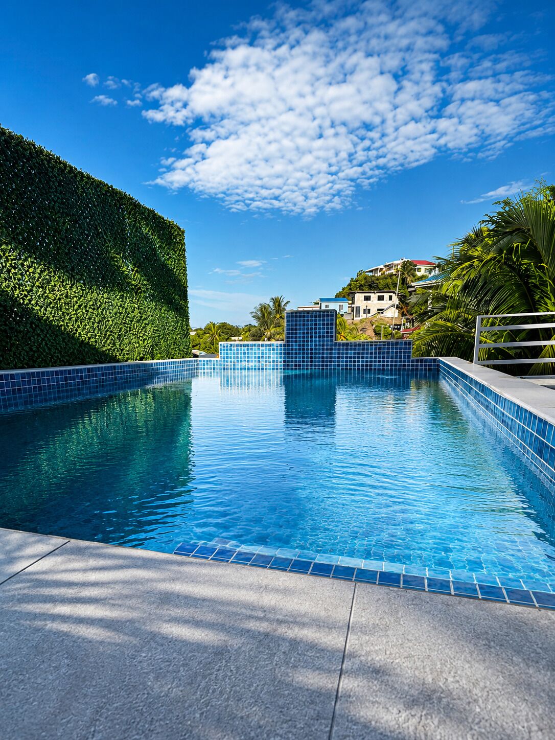 A swimming pool with a tiled edge, surrounded by a hedge and palm trees, with buildings in the background.