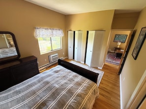 A bedroom with a bed, dresser, window with curtains, closet, and a television in the corner.