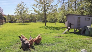 Parco della struttura