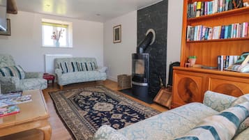 A living room with a sofa, armchair, fireplace, bookshelf, and a rug.