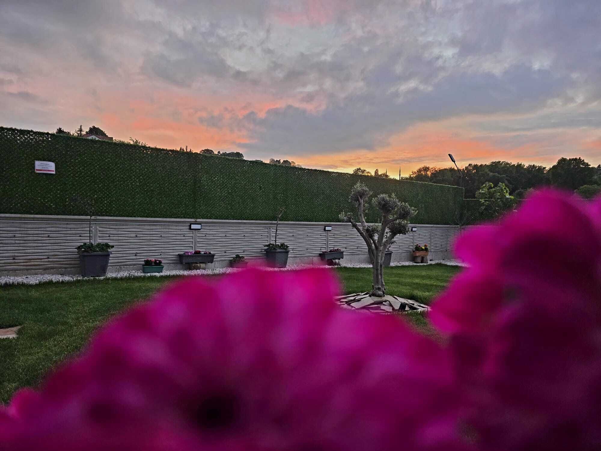 Villa familiare, patio, vista giardino | Parco della struttura