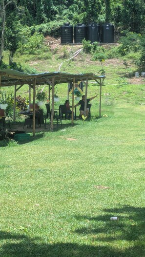 Outdoor dining - Off -grid Agro Enthusiasts Dream. Eco, Regenerative Sustainable Living in Style (Little London)