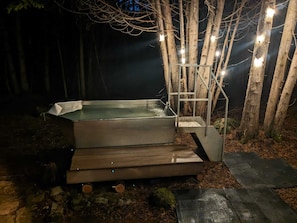 Un bain à remous doté d’une structure métallique et d’échelons, entouré d’arbres et illuminé par des guirlandes lumineuses.
