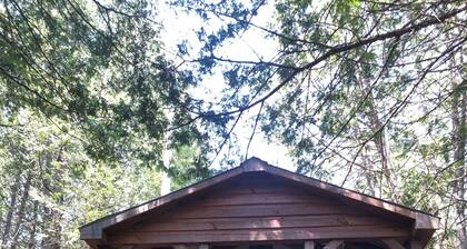 The Hideaway- Cozy forest escape with sauna and trails 10 minutes from Bull Lake