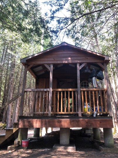 The Hideaway- Cozy forest escape with sauna and trails 10 minutes from Bull Lake
