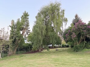 A grassy area with trees and a fence. - 10 minutes from Koblenz Holiday home Hofgut von Schaewen. (Hünenfeld)