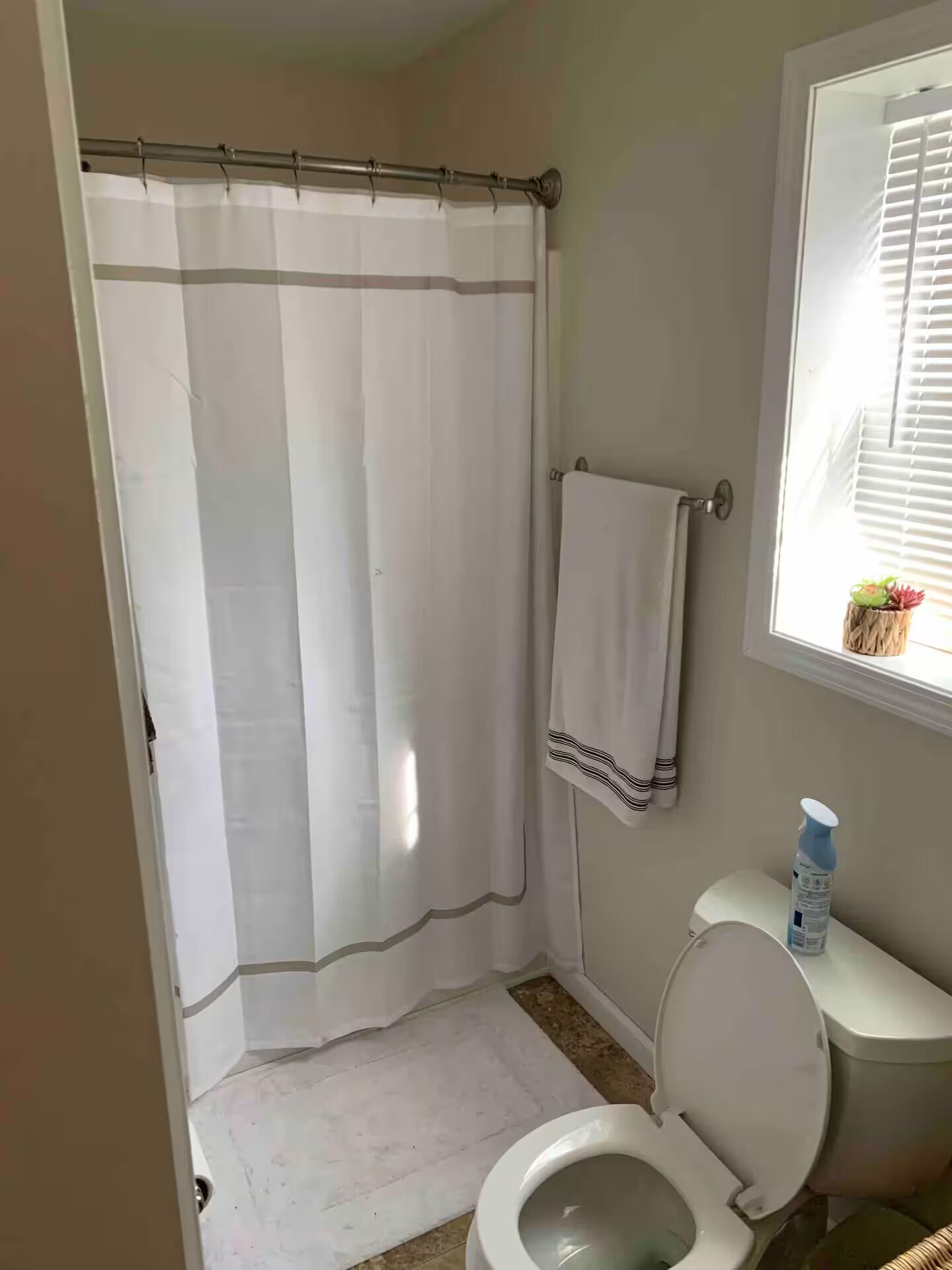 Ducha, toallas, jabón, papel higiénico