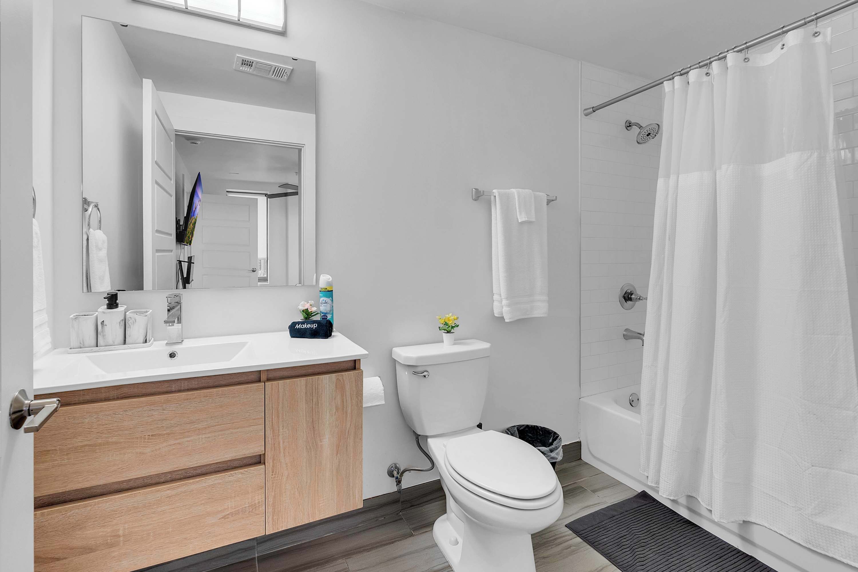 Shower, hair dryer, shampoo