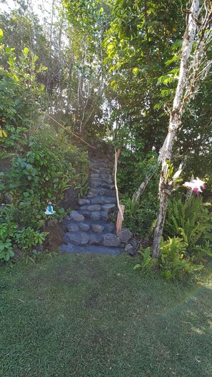 A stone staircase surrounded by lush greenery and ferns. - Aloha Sanctuary: Charming 1-bedroom studio in Kea'au near beautiful Kaloli Point (Kea'au)