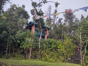 Ein Gebäude, von dichtem Wald umgeben, mit einer Steinmauer und einer kleinen Statue.