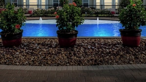 Ein Pool mit drei Kübelpflanzen im Vordergrund und einem Gebäude im Hintergrund.