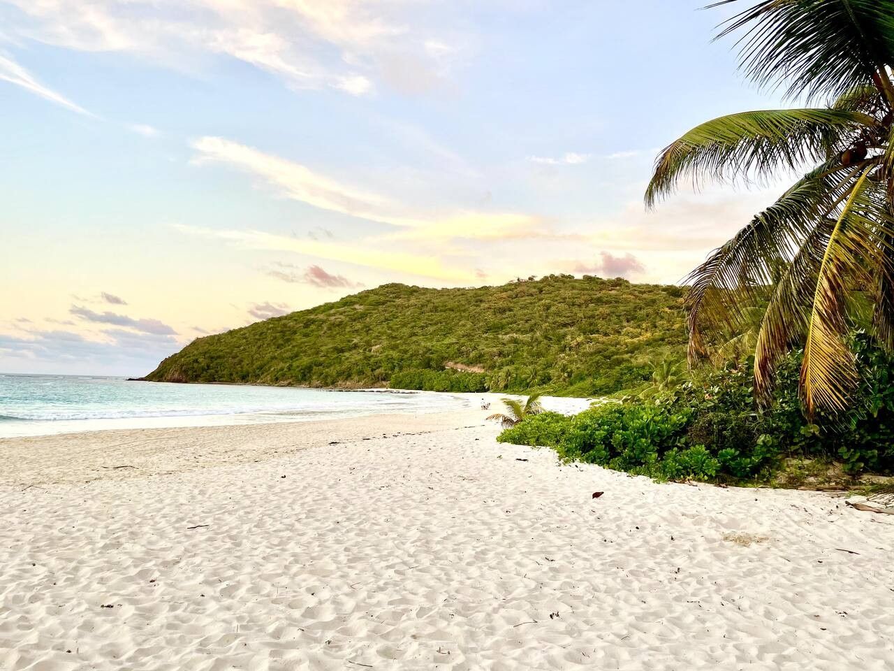 A beach with white sand, a palm tree, and a hill in the background.
