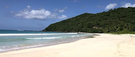 Une plage à l’eau d’un bleu limpide, bordée d’un rivage sablonneux, avec une colline boisée en arrière-plan.