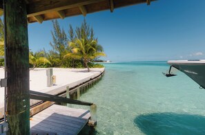 Property grounds - Tranquil 4-bedroom 3-bath house with 50' boat dock in delightful Treasure Cay (Treasure Cay)