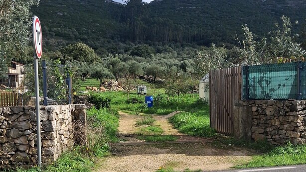 A rural road with a stone wall, a speed limit sign, and a fenced area with greenery. - Ti Zaquiel Farm (Porto de Mós)