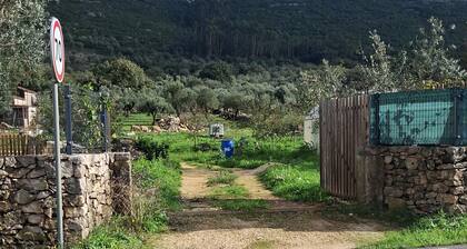 Ti Zaquiel Farm