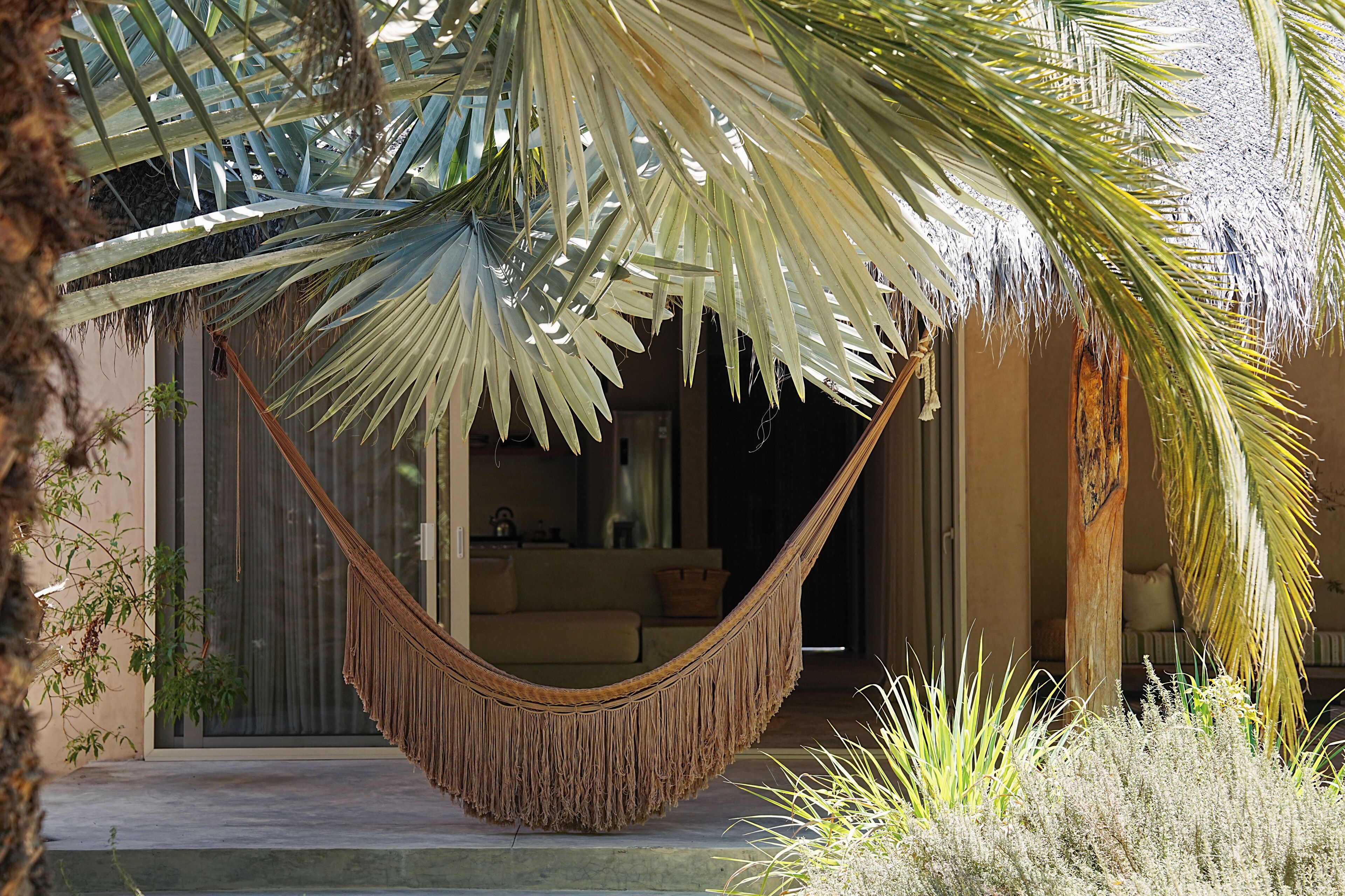Una hamaca bajo una palmera, una puerta corrediza de vidrio y un sofá dentro de una habitación.