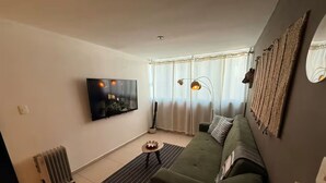 Uma sala de estar com sofá, televisão, radiador, mesa pequena e planta.