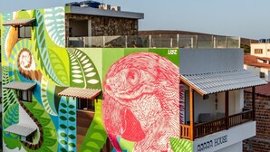 A building with a colorful mural featuring a large red bird and green foliage. The building has a sign that reads "Luz" and "ARARA HOUSE". - ARARA HOUSE  (Jijoca de Jericoacoara)