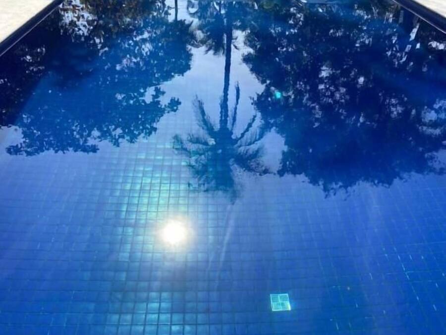 A rectangular swimming pool with a tiled floor and a clear blue water surface reflecting trees and a bright sun.