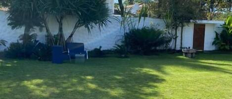 A well-maintained grassy yard with palm trees and a white building.