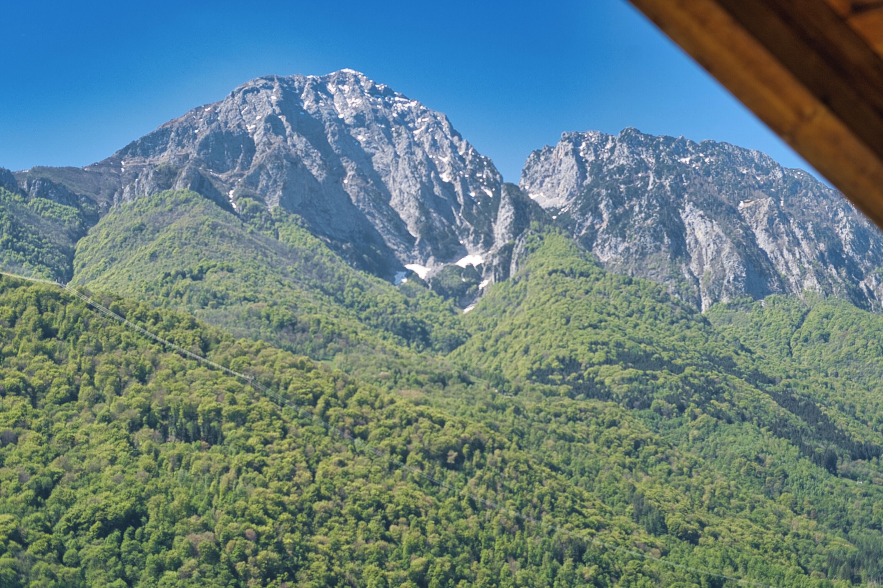 A mountain landscape with dense green forest and rocky peaks.