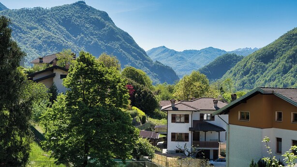 Un quartier résidentiel avec des maisons, un arbre remarquable et des montagnes en arrière-plan.