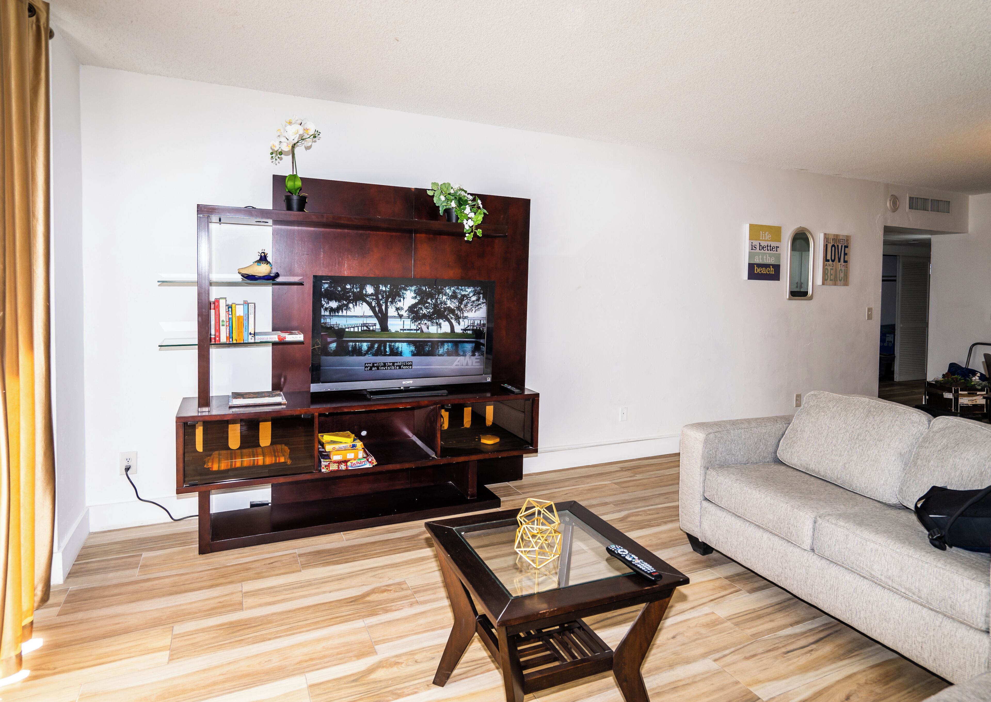 TV