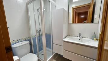 Shower, hair dryer, bidet, towels
