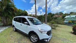 A white SUV parked on a grassy area with palm trees and houses in the background.