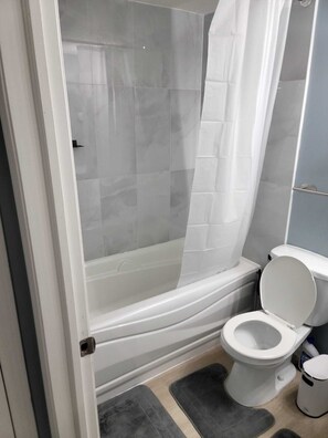Hair dryer, towels, soap, toilet paper