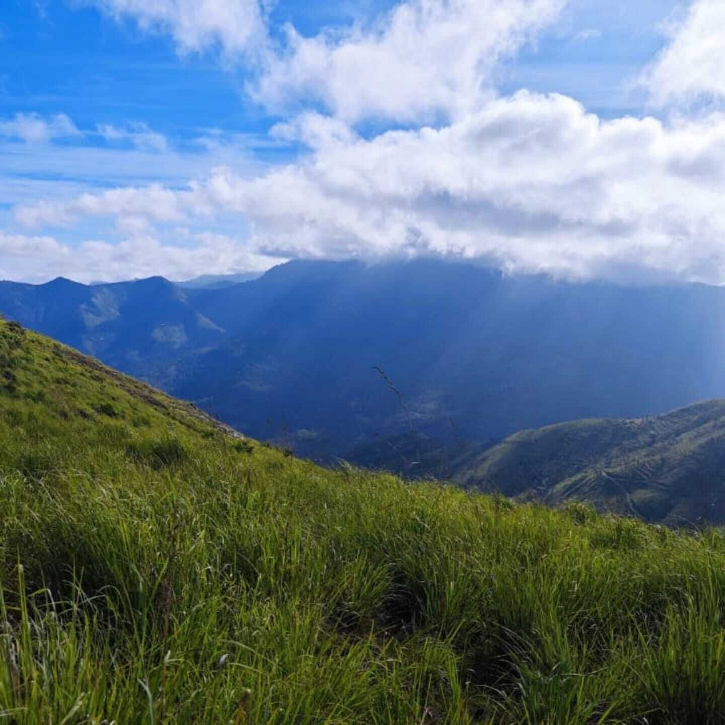 Una ladera cubierta de hierba con una cadena montañosa al fondo.