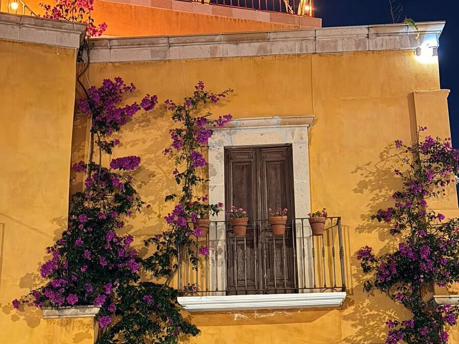 Um edifício com paredes amarelas, uma varanda com plantas em vasos e uma janela com porta de madeira.