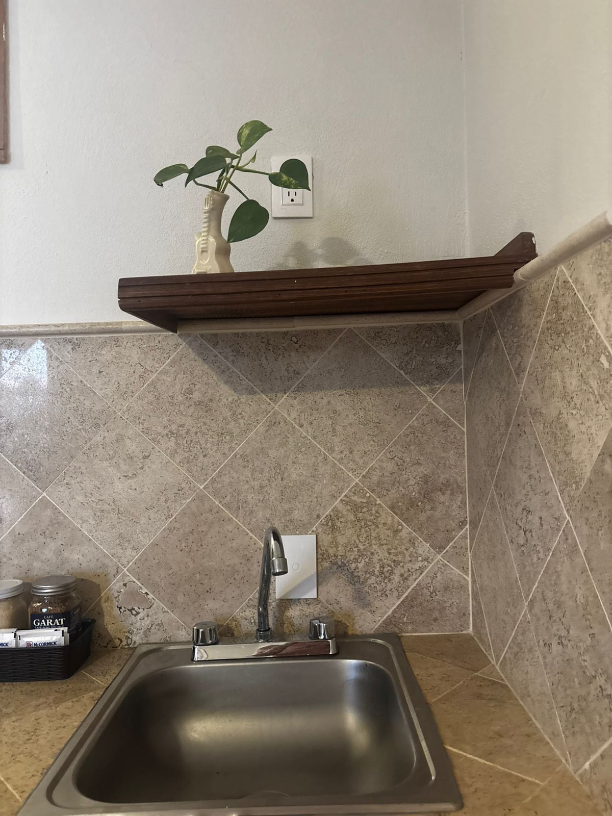 A kitchen with a stainless steel sink, a potted plant on a wooden shelf, and a tiled backsplash.