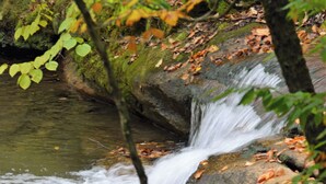 A natural water feature with a small waterfall, surrounded by rocks and foliage. - Private Lakefront Cabin for Fishing, Relaxation and Outdoor Recreation (Plumerville)