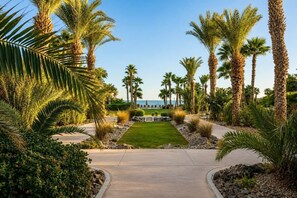 Un camino conduce a una zona de descanso con palmeras y vista al océano.