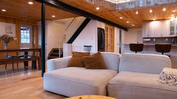 TV, fireplace, books