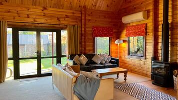 Smart TV, chimenea, libros