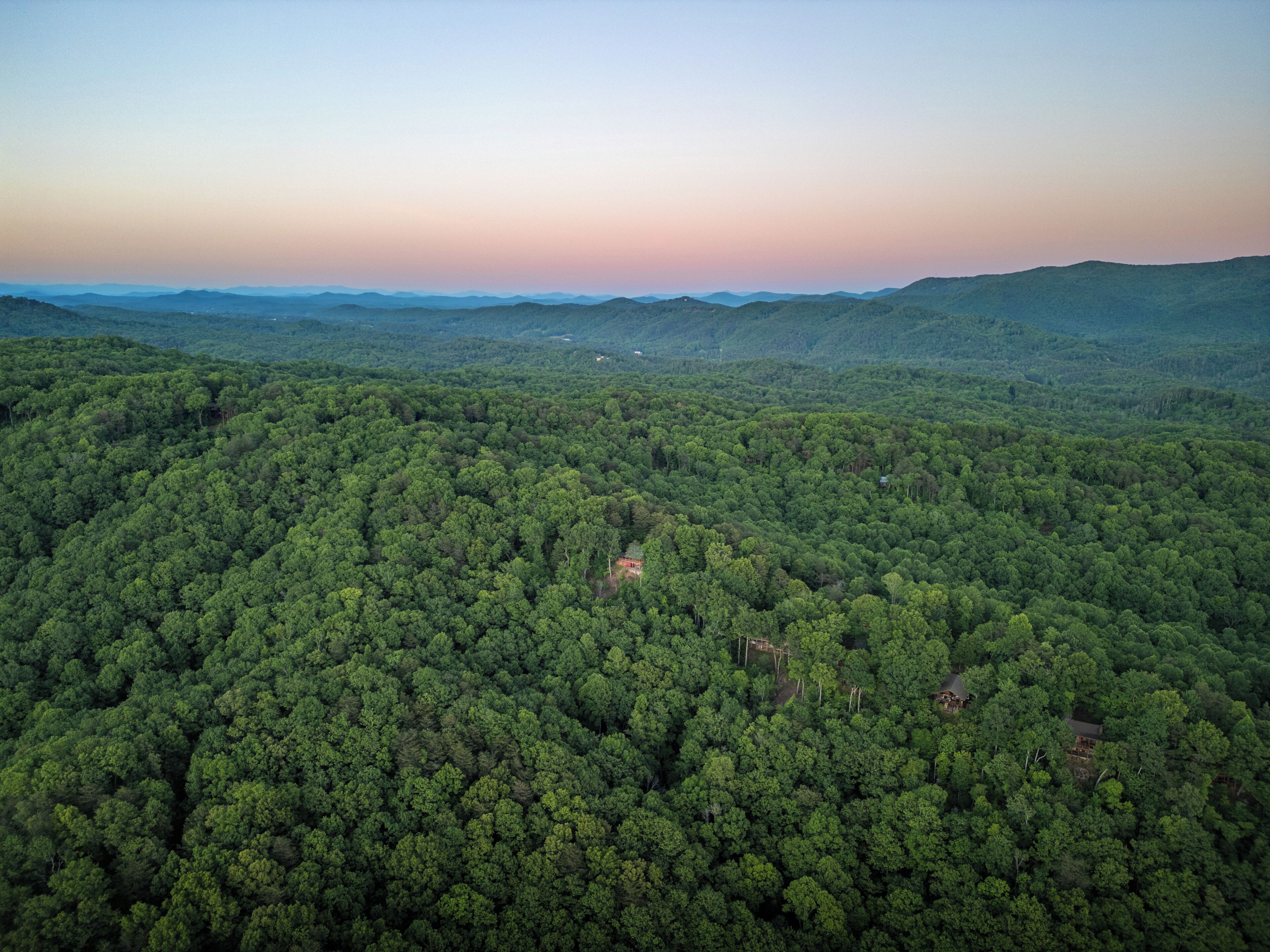 An aerial view of a dense forest with a few scattered buildings.