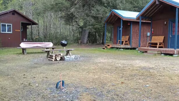 Two cabins with wooden exteriors and blue roofs, a picnic table, and a grill in a wooded area. - The Sitka Cabin w/ King Bed (Seward)