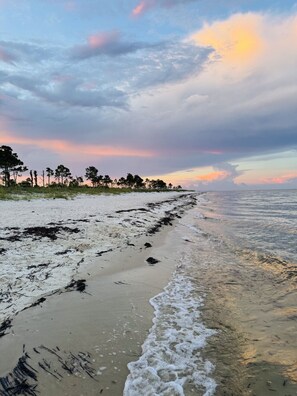 Nära stranden