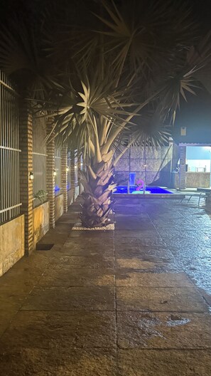 A nighttime outdoor area with a palm tree, a brick wall, and a metal gate.