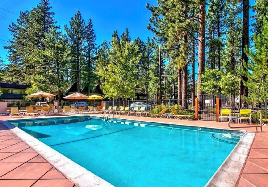 A swimming pool with lounge chairs and umbrellas, surrounded by tall trees.