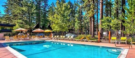 A swimming pool with lounge chairs and umbrellas, surrounded by tall trees.