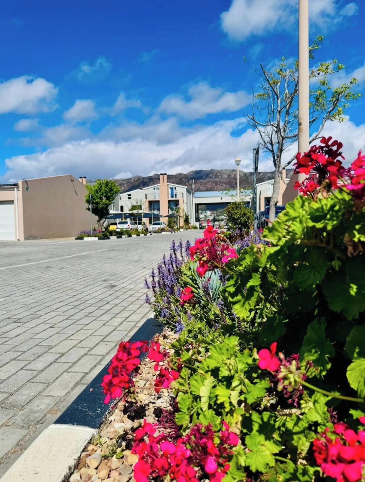 Apartment, 1 Bedroom, Smoking, Balcony | Garden