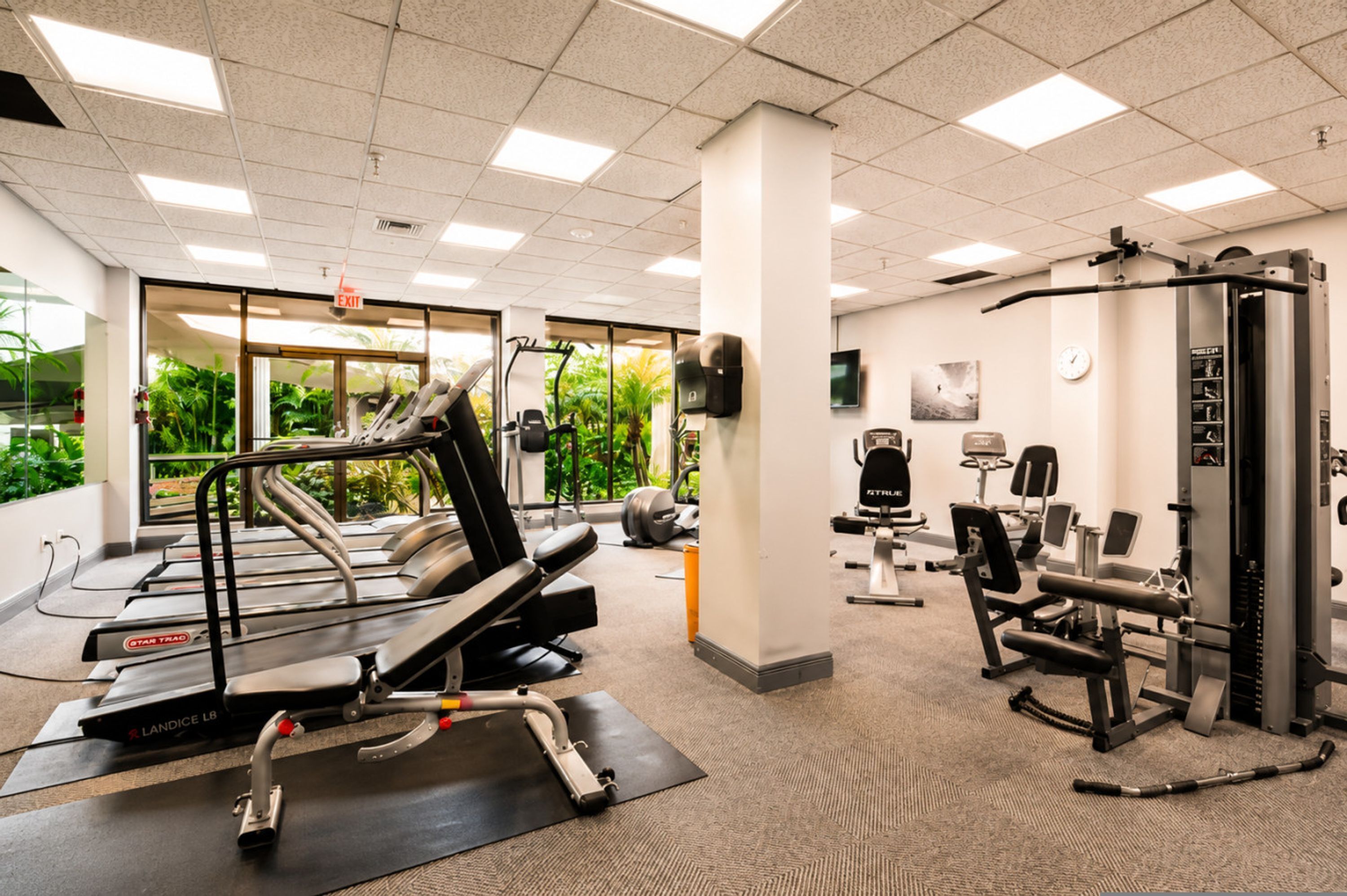 A gym with treadmills, weight machines, and exercise equipment.