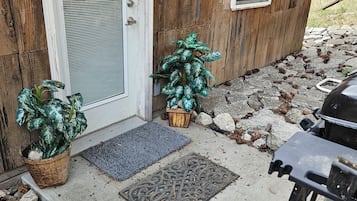 A wooden house with a metal door, two potted plants, a doormat, and a propane tank on the porch.