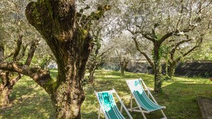 Un espacio al aire libre bordeado de árboles con dos sillones de descanso.