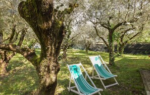 Property grounds - 2 bedroom stunning home in Camaiore (Camaiore)